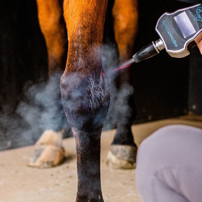 INSTANTCRYO in use on horses leg