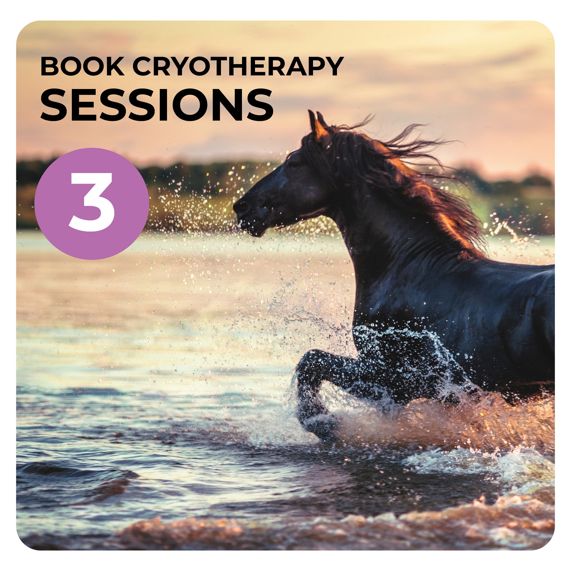 Book 3 Cryotherapy sessions with Dean Mandim