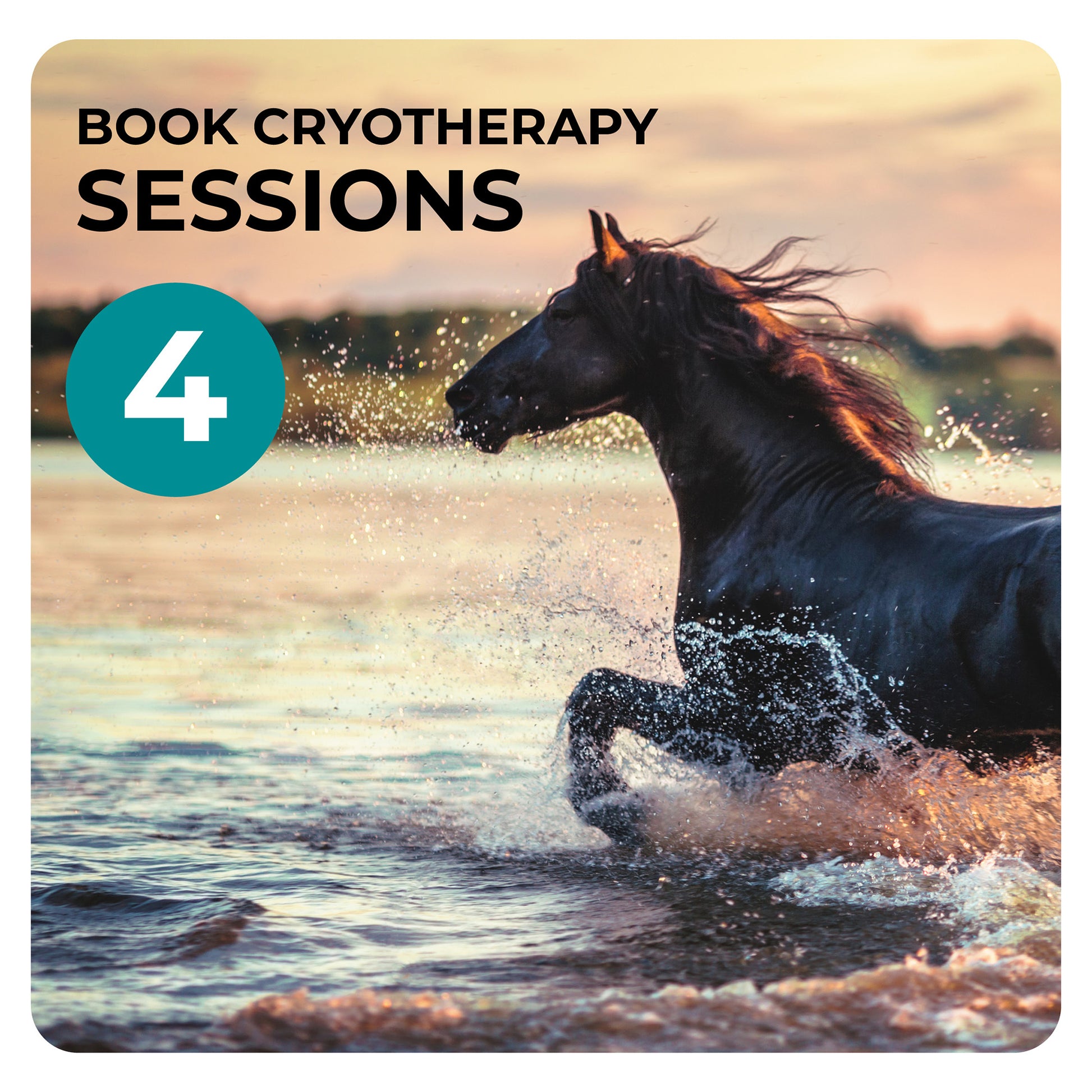 Book 4 Cryotherapy sessions with Dean Mandim