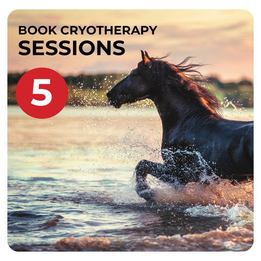 Book 5 Cryotherapy sessions with Dean Mandim