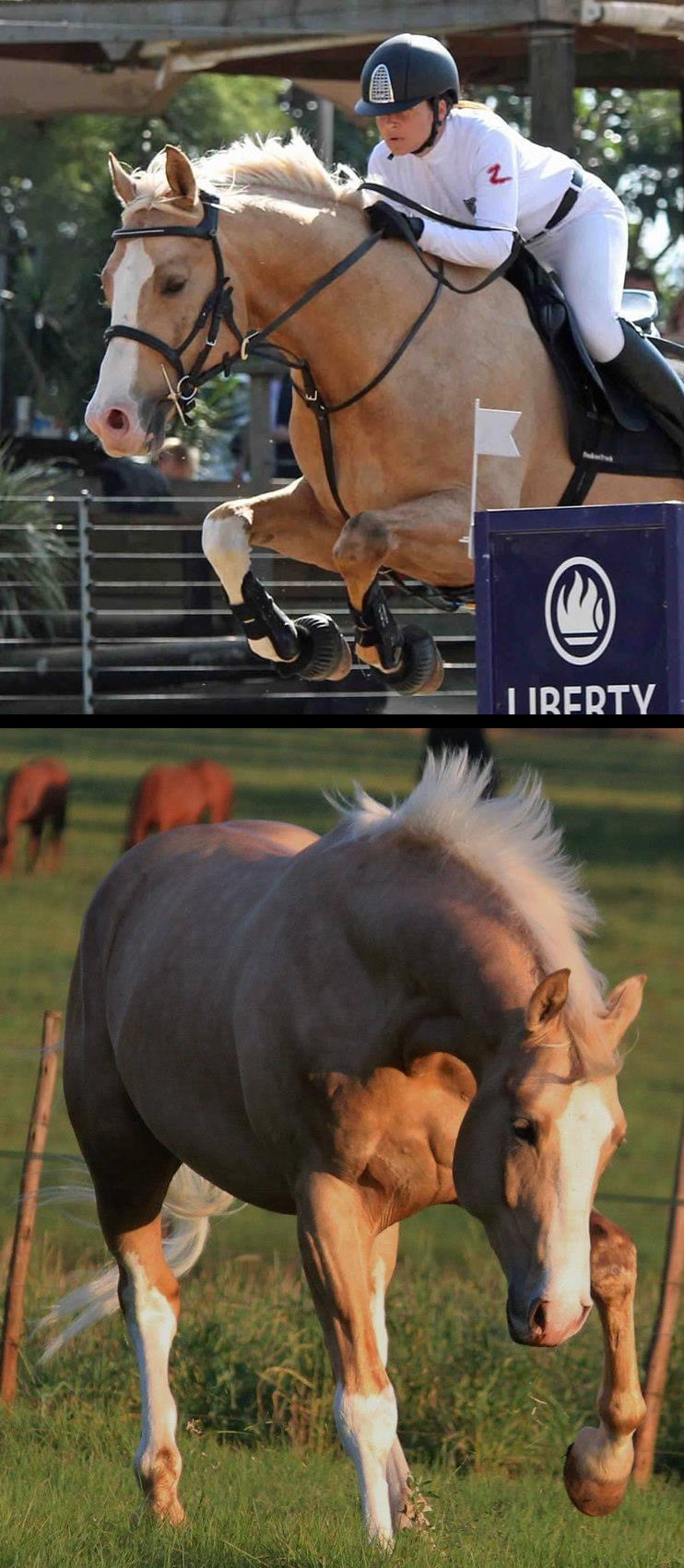 Dean riding her horse at a jumping show